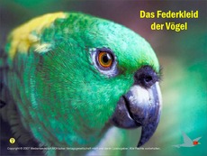 Voegel-Federkleid.pdf